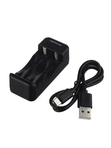 00-00031386 З/у для аккумуляторов Basic 150 Ni-MH/Ni-Cd 2 слота (1/40/80), GoPower