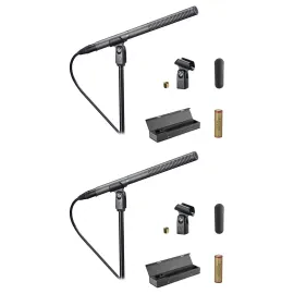 Микрофон для видео/трансляций Audio-Technica AT897 пушечный конденсаторный (набор, 2 шт.) с кейсом