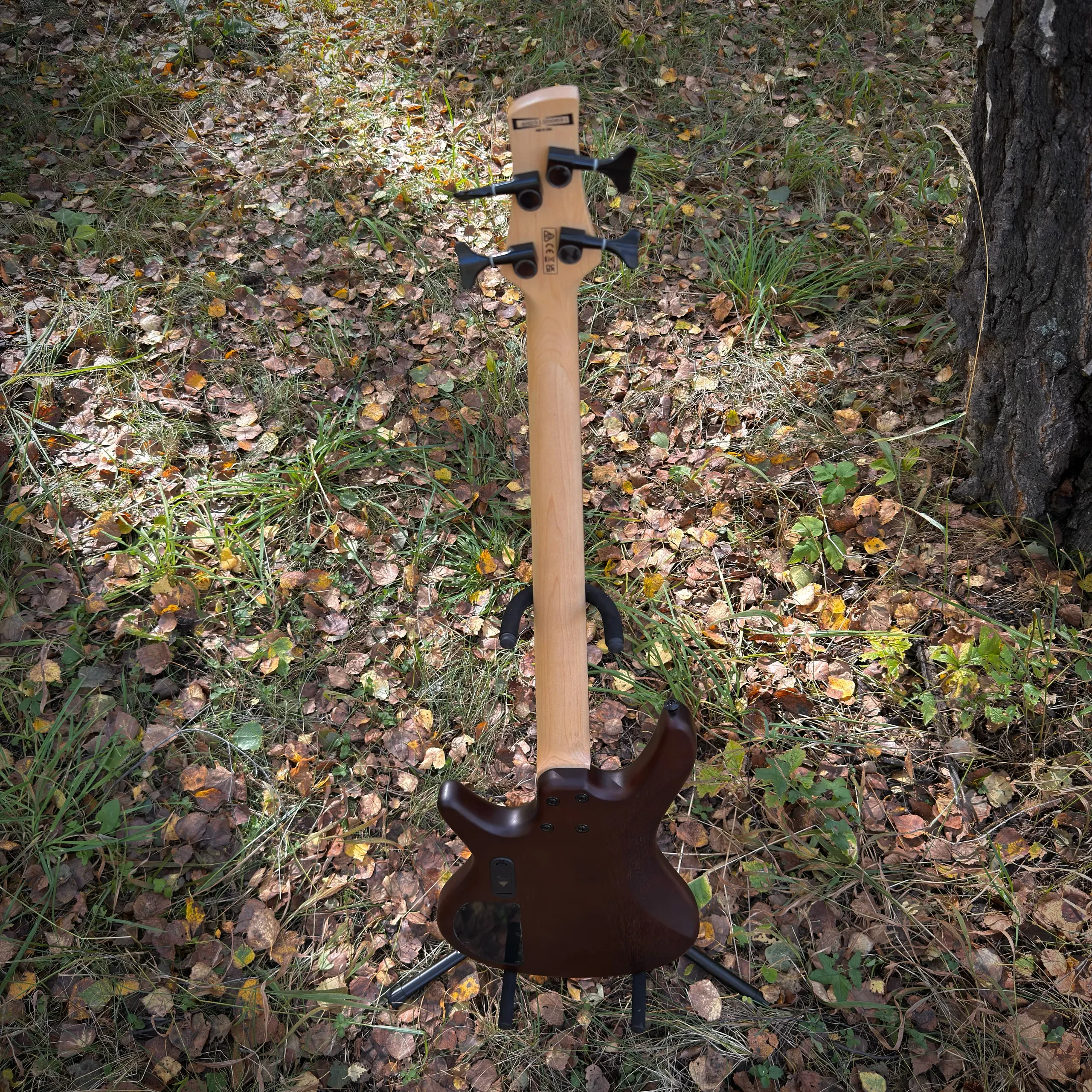 Изображение №4