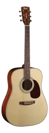 Акустическая гитара Cort EarthPack Open Pore