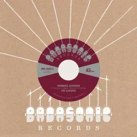 Виниловая пластинка The Slackers - Wrongful Suspicion / The Noose [New 7" Vinyl]