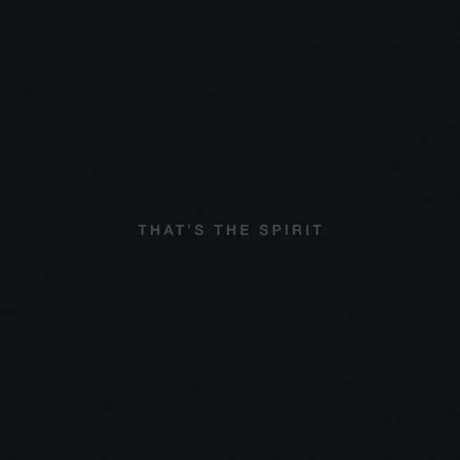 Виниловая пластинка Bring Me The Horizon – That’s The Spirit