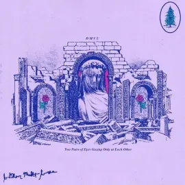 Виниловая пластинка Dmvu - Two Pairs Of Eyes Gazing Only At Each Other [New Vinyl LP]
