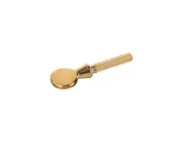 Винты для лигатуры кларнета 1719 Selmer 1719GSCR  лакированные