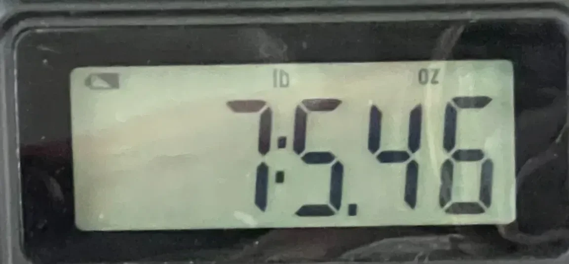 Изображение №9