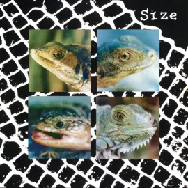 Виниловая пластинка Size – Nadie Puede Vivir Con Un Monstruo (Релиз 2023)