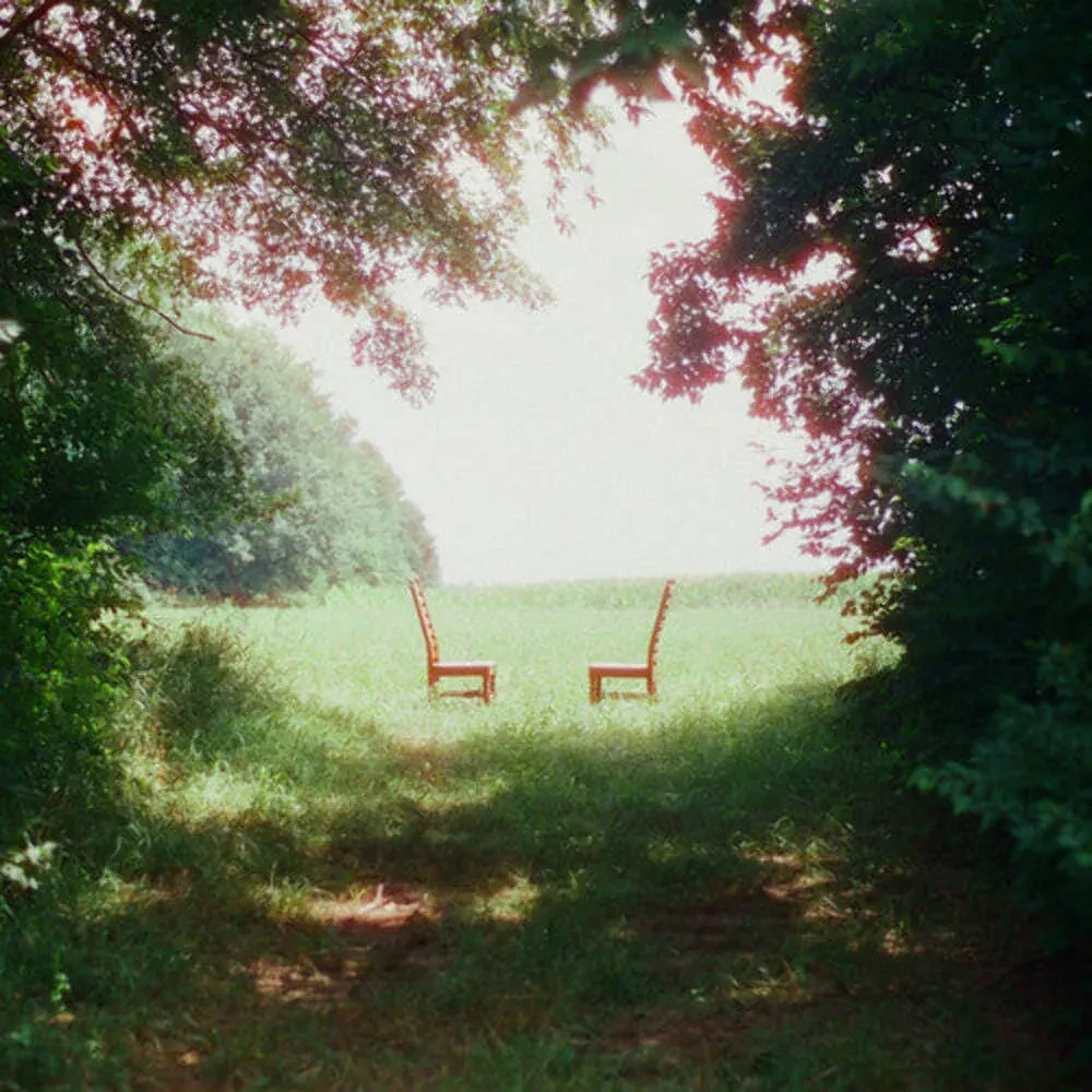 Ratboys - Singin' to an Empty Chair [Indie-Exclusive Green & Brown Marble Vinyl]