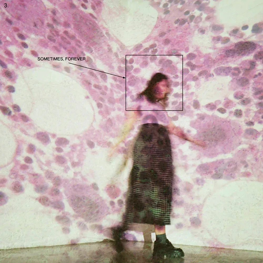 Виниловая пластинка Soccer Mommy – Sometimes, Forever (Релиз 2022) Sealed