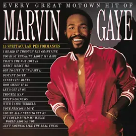 Виниловая пластинка Marvin Gaye – Every Great Motown Hit Of Marvin Gaye Sealed