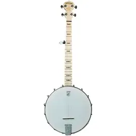 Банджо Deering Goodtime Jr. Openback Banjo Silver