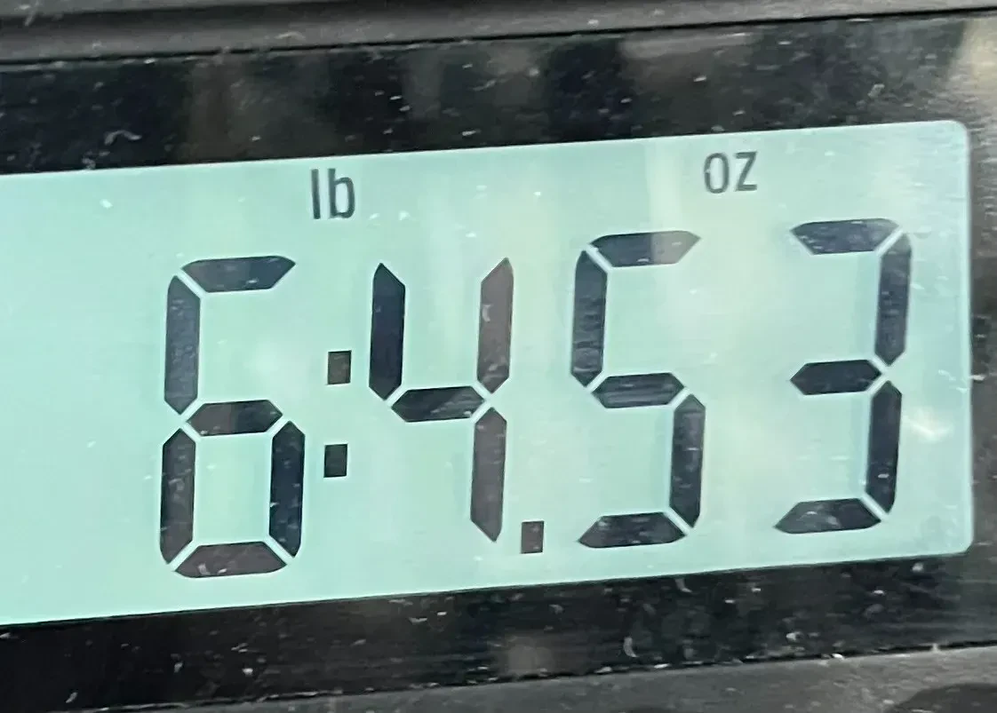 Изображение №2