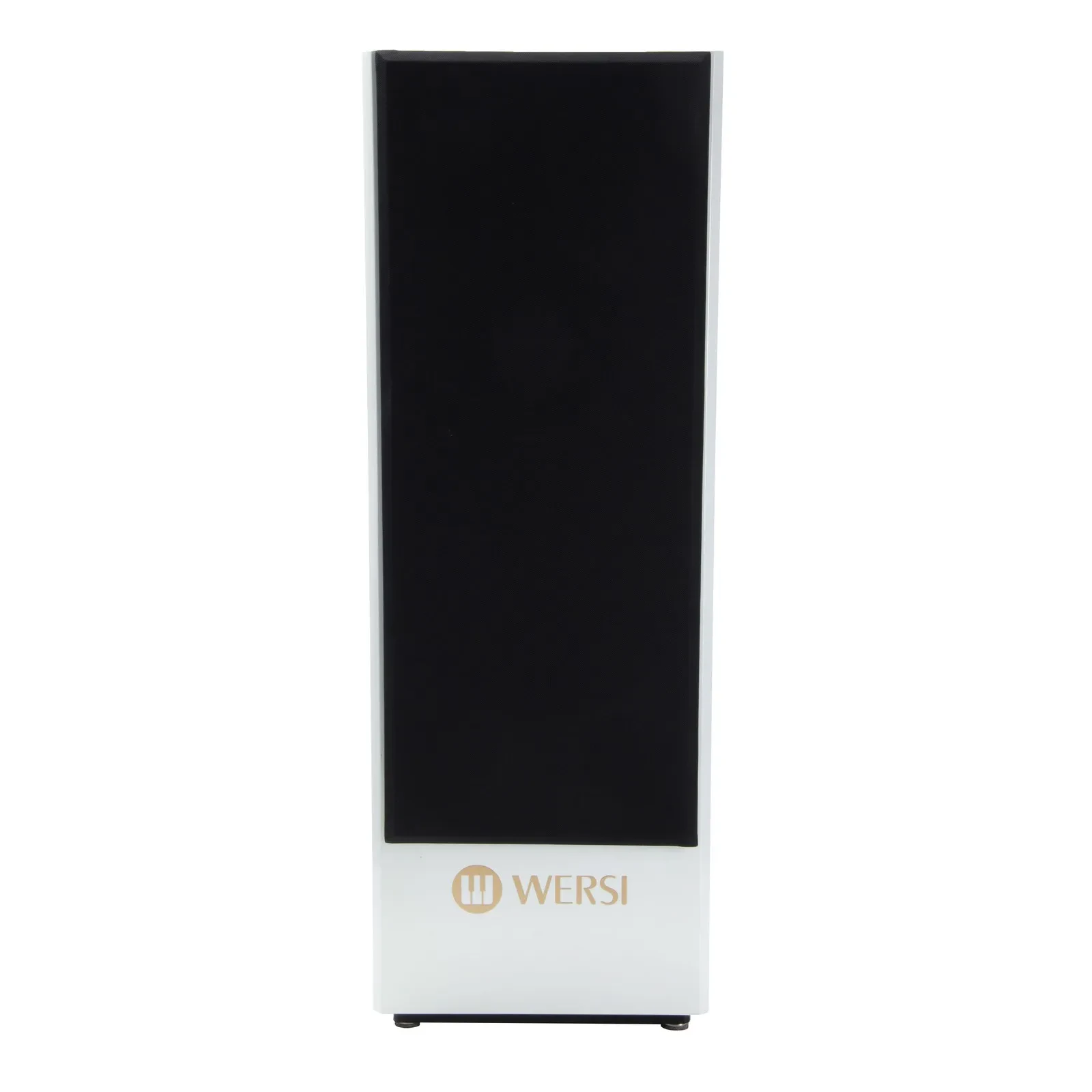 Wersi TS9000 - Keyboardverstärker