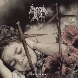 Виниловая пластинка Immortal Bird – Sin Querencia (Релиз 2024)