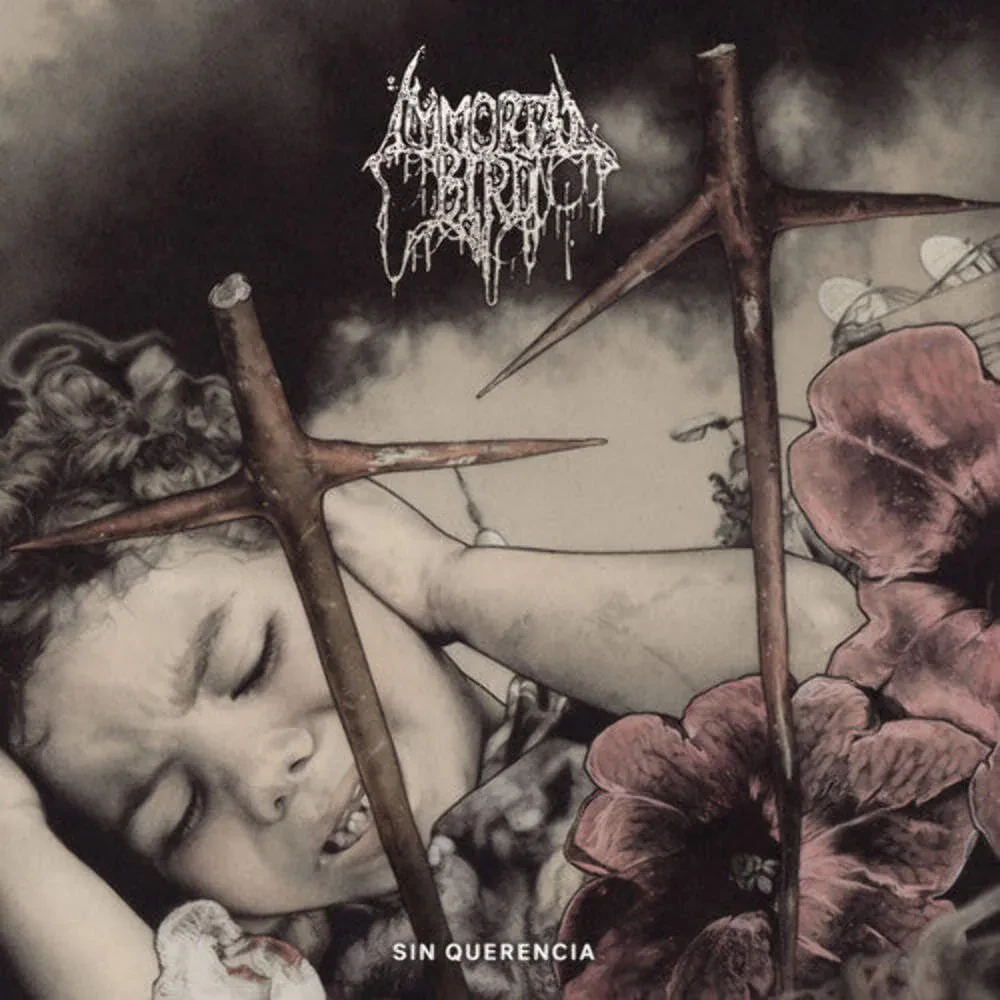 Виниловая пластинка Immortal Bird – Sin Querencia (Релиз 2024)