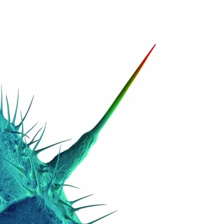 PETER GABRIEL - And I’ll Scratch Yours (CD)