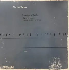 Виниловая пластинка Florian Weber – Imaginary Cycle