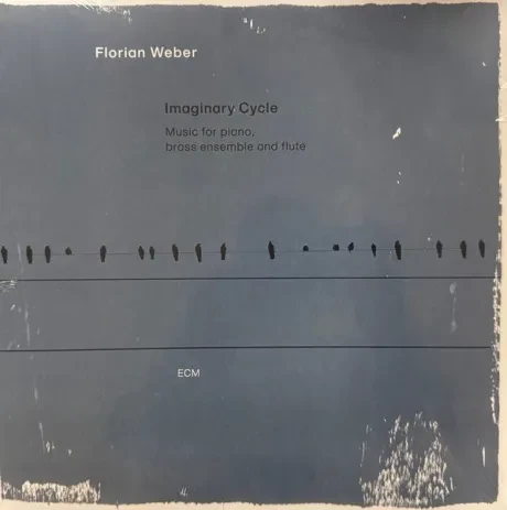 Виниловая пластинка Florian Weber – Imaginary Cycle