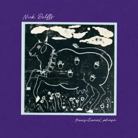 Виниловая пластинка Nick Delffs – Transitional Phase (Релиз 2024)