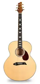 Электроакустическая гитара NG JM-800 E чехол в комплекте