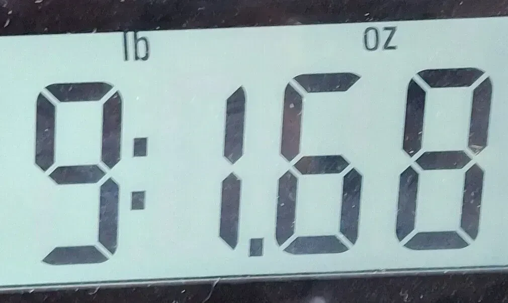 Изображение №9