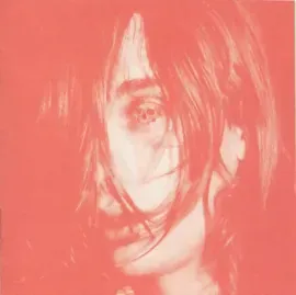 DEERHUNTER - Microcastle / Weird Era Cont. (2CD)