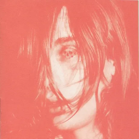 DEERHUNTER - Microcastle / Weird Era Cont. (2CD)