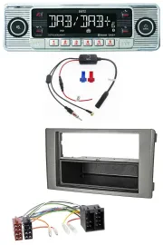 Dietz DAB USB MP3 Bluetooth Autoradio für Iveco Daily (06-14) dunkelgrau