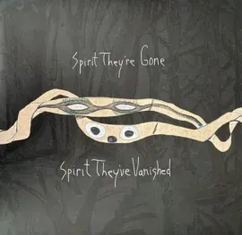 Виниловая пластинка Animal Collective – Spirit They're Gone, Spirit They've Vanished