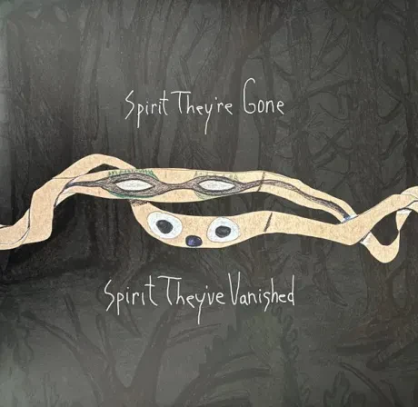 Виниловая пластинка Animal Collective – Spirit They're Gone, Spirit They've Vanished