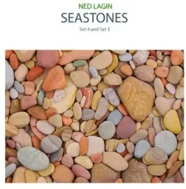 Виниловая пластинка Ned Lagin - Seastones: Set 4 & Set 5 [New Vinyl LP]