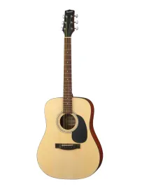 Акустическая гитара Root Note RD100 Dreadnought Open Pore Natural