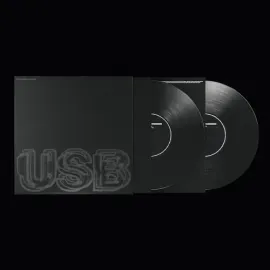 Виниловая пластинка Fred Again – USB (Релиз 2024)