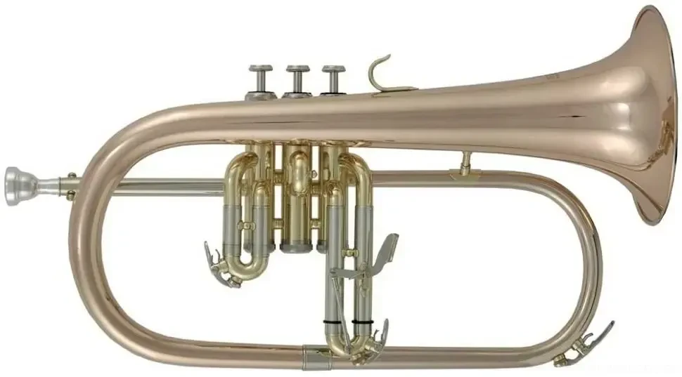 Флюгельгорн Roy Benson FH-302G Bb Gold