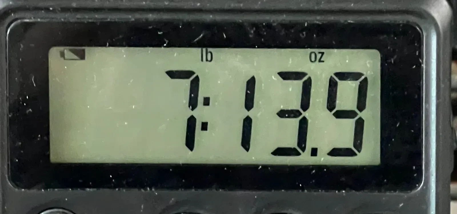 Изображение №10