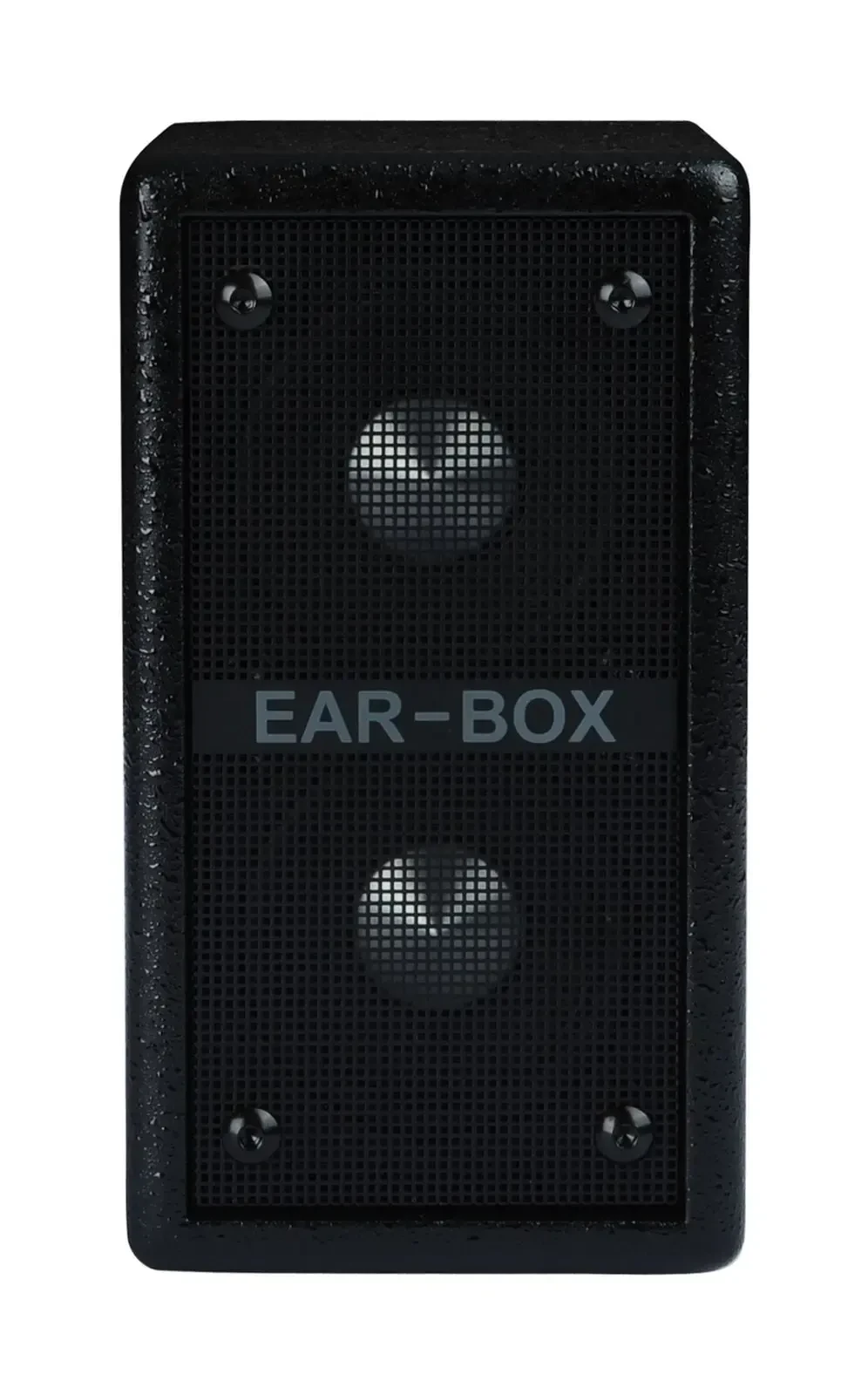 Сценический акустический монитор PHIL JONES Ear-Box EB-200 Black 500W 2x2