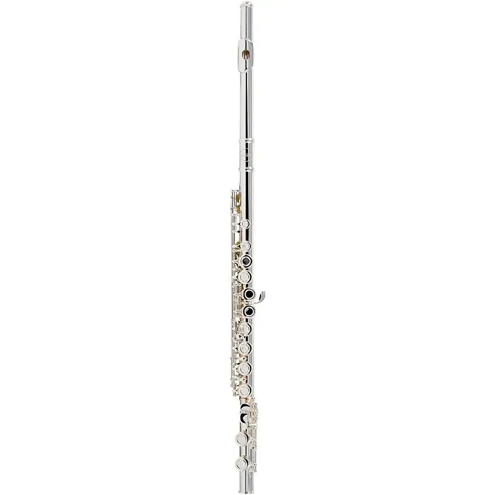 Флейта Allora AFL-250 Student Series Flute Offset G C-Foot