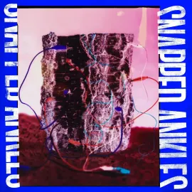Snapped Ankles - Forest Of Your Problems (Protester Edition) [Colored Vinyl] NEW