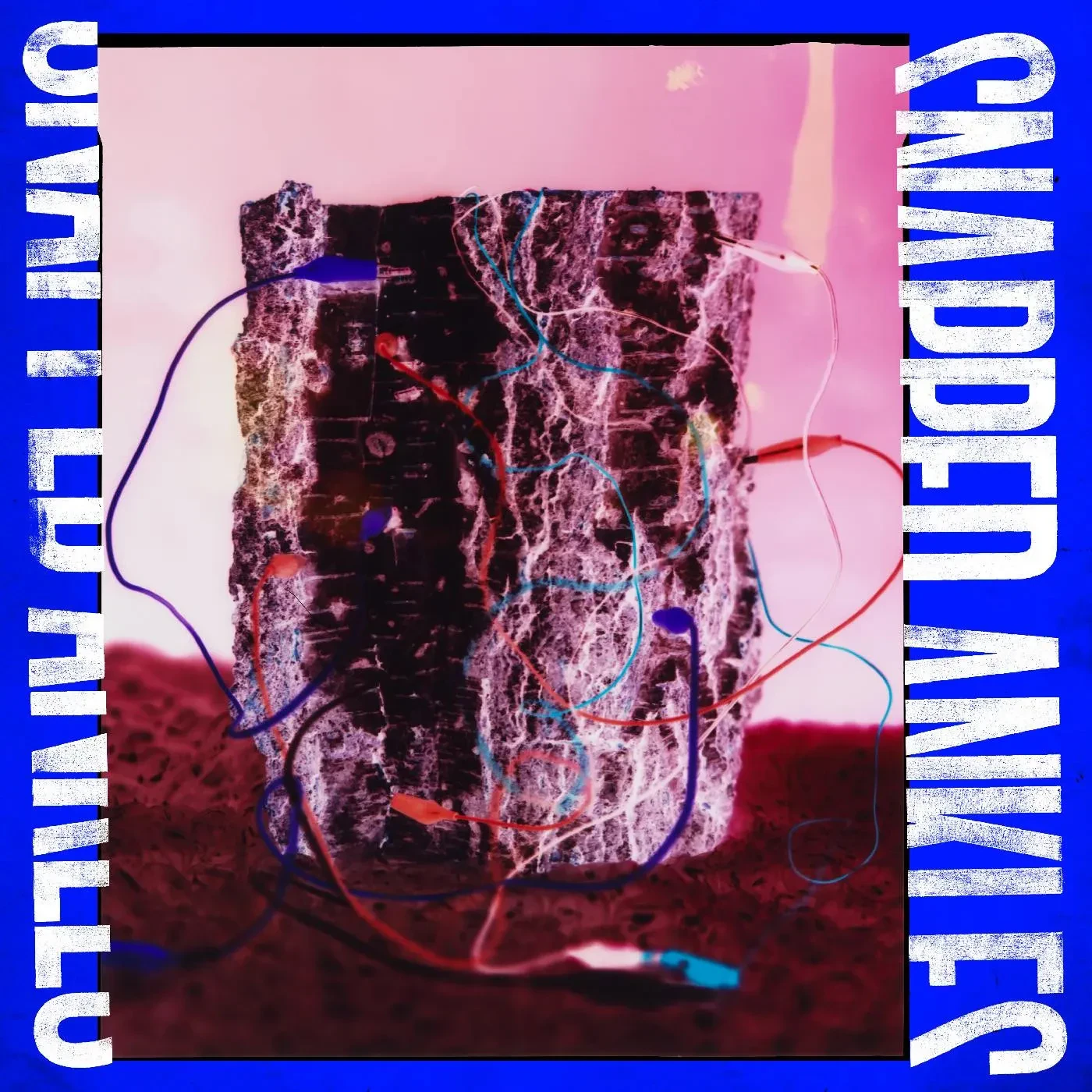 Snapped Ankles - Forest Of Your Problems (Protester Edition) [Colored Vinyl] NEW