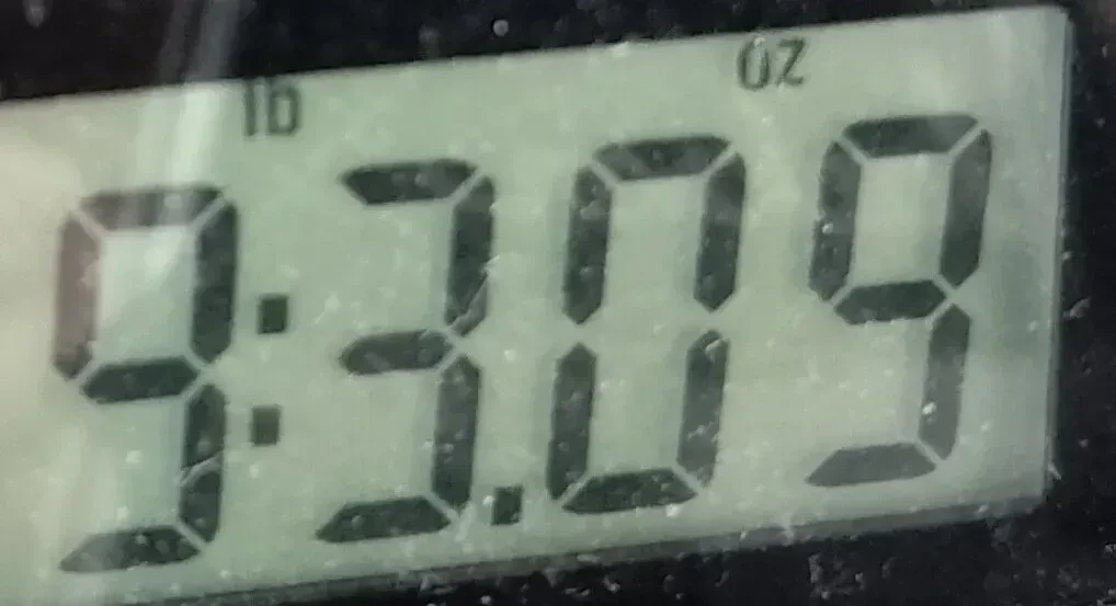 Изображение №9