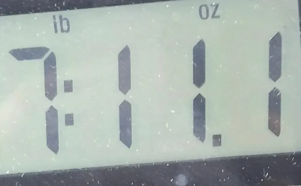 Изображение №10