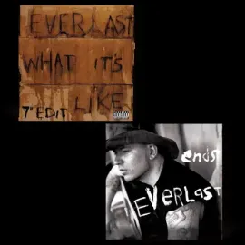 Виниловая пластинка Everlast - What It's Like/Ends [New 7" Vinyl] Explicit