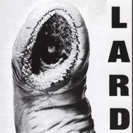 Виниловая пластинка Lard – Power of Lard 2025