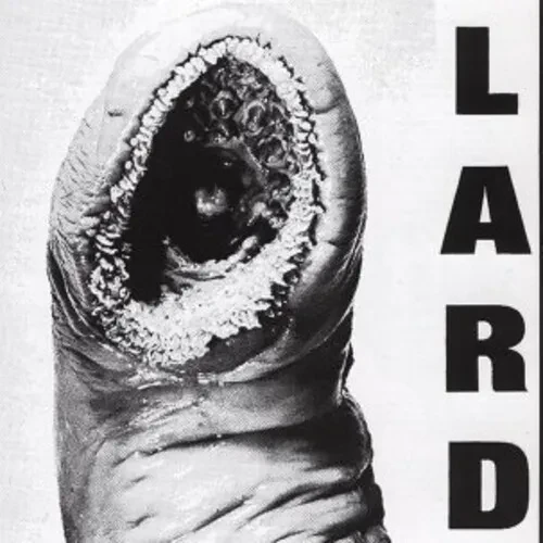 Виниловая пластинка Lard – Power of Lard 2025