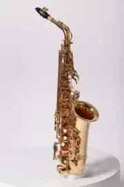 Альт-саксофон Pierre Cesar JBAS-260L Eb