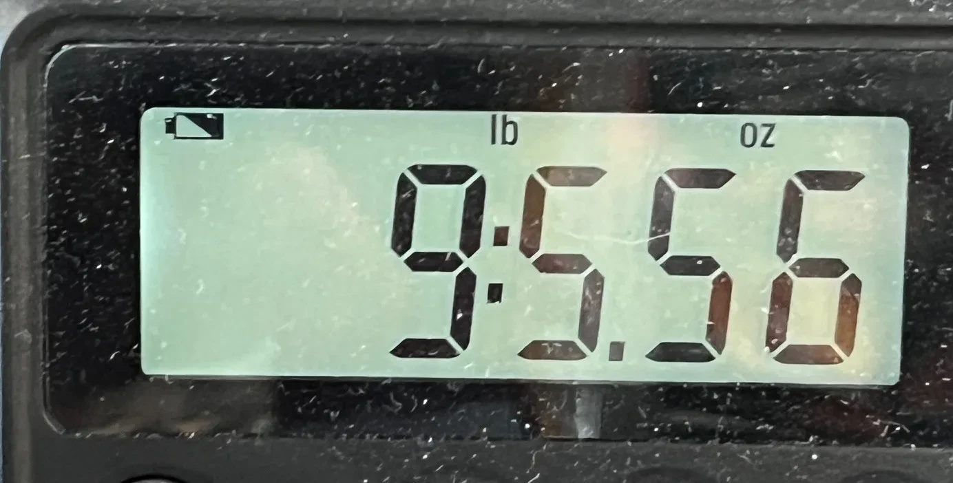 Изображение №2