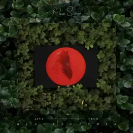 Виниловая пластинка Moses Sumney – Live From Blackalachia
