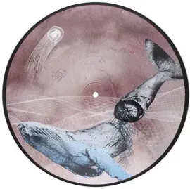 Виниловая пластинка Mestis - Basal Ganglia [New Vinyl LP]