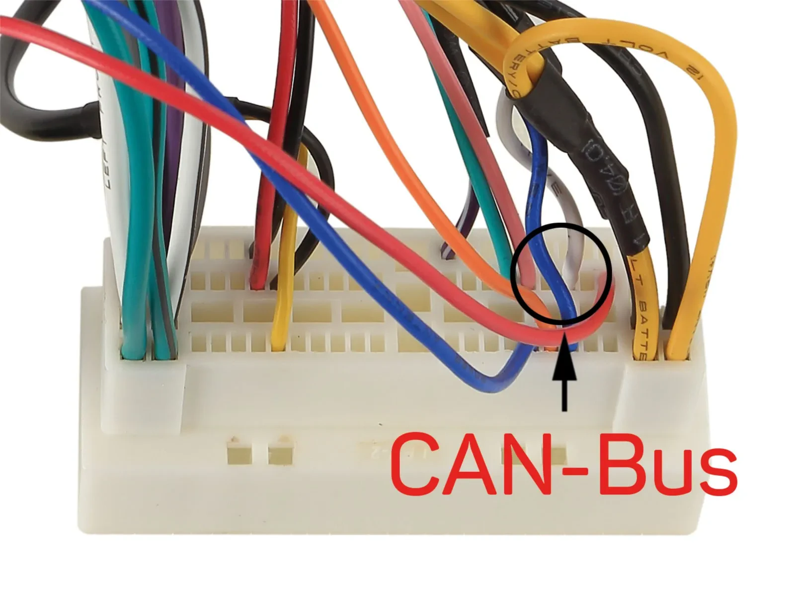 Изображение №4