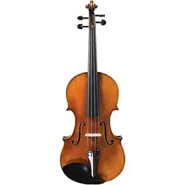 Скрипка Strobel ML-700 Master Series Violin Outfit 4/4