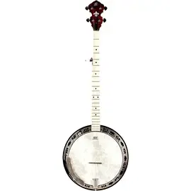 Банджо Ortega OBJE400TBL Falcon 5-String Acoustic-Electric Banjo Trans Fire